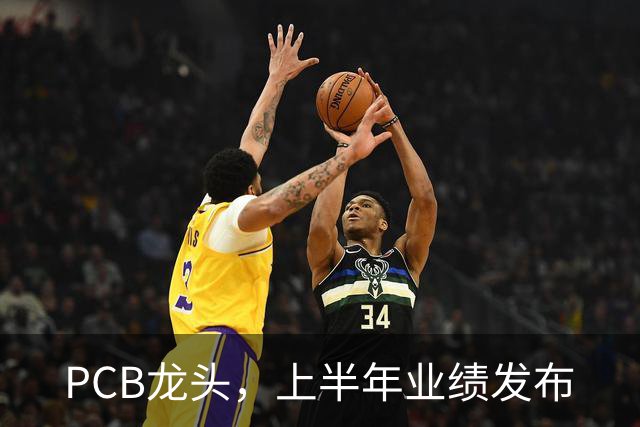 PCB龙头，上半年业绩发布